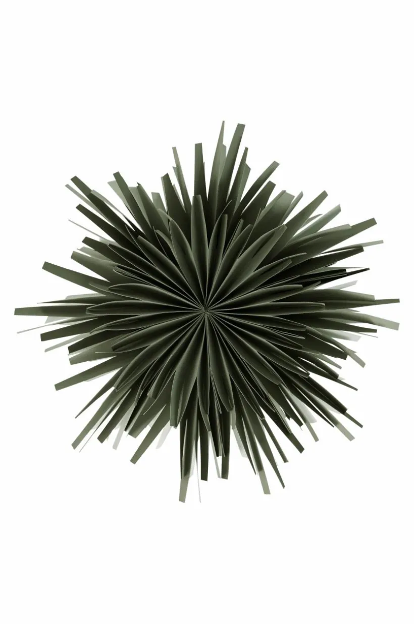 AVOIR ø 56 Cm Julstjärna