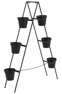 BASIL Blomställning