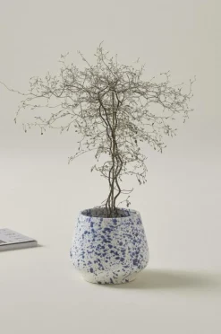 BELLADONNA Kruka ø 18 Cm