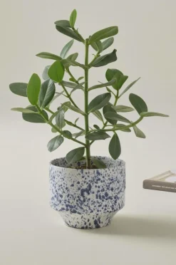 BELLADONNA Kruka ø 21,5 Cm