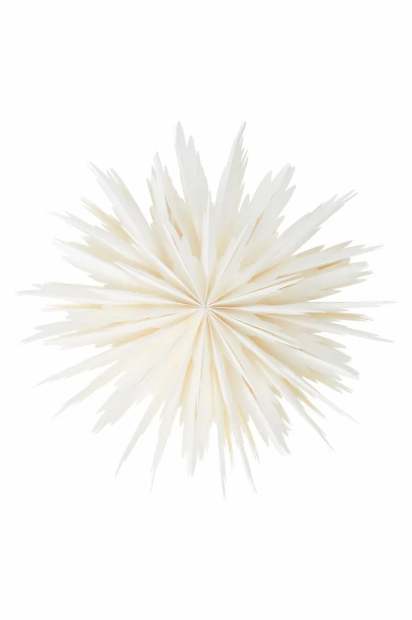 BELLATRIX Julstjärna ø 51 Cm