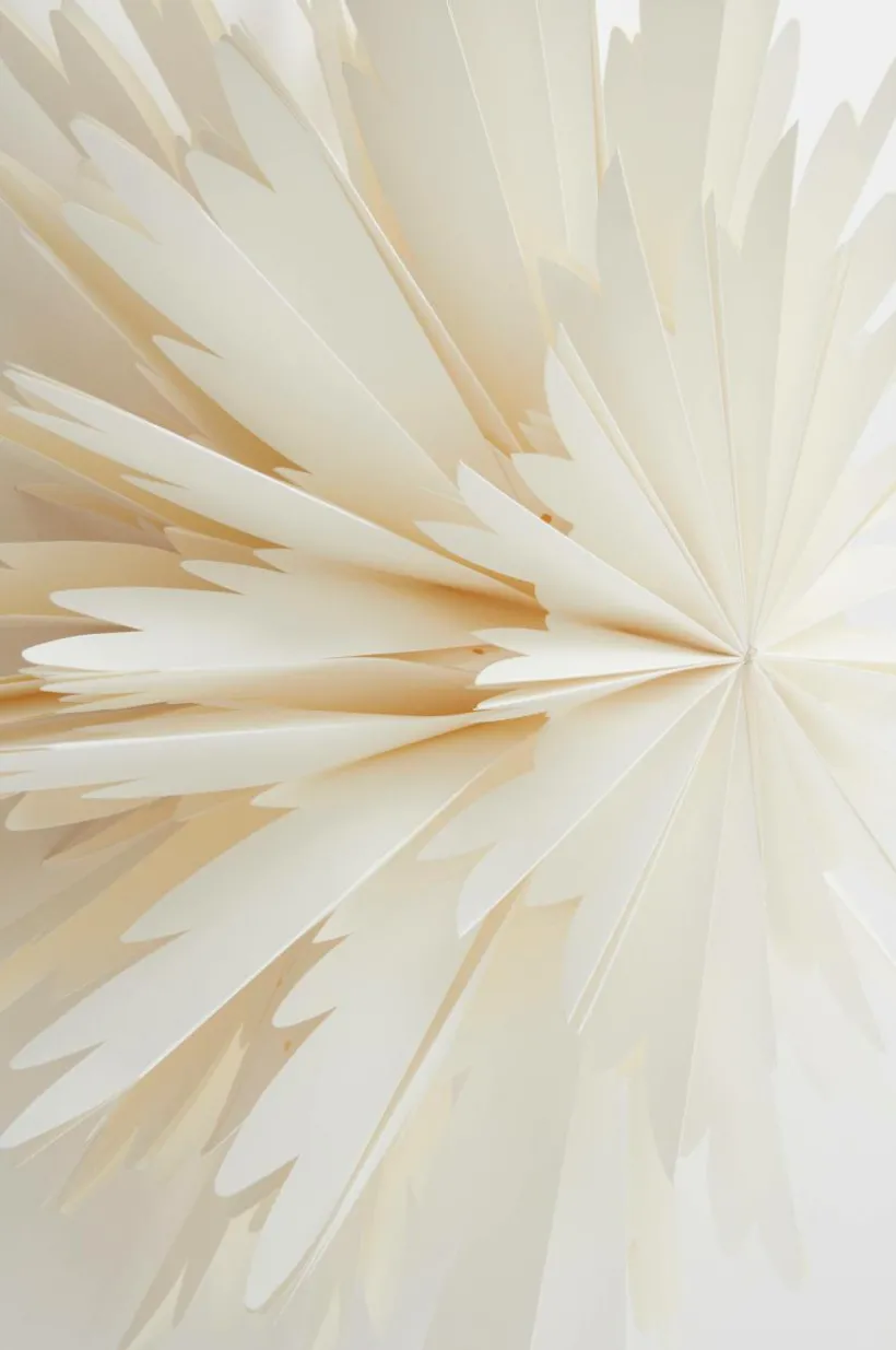 BELLATRIX Julstjärna ø 51 Cm