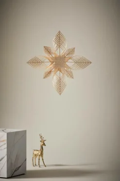 BIRK Julstjärna ø 65 Cm.