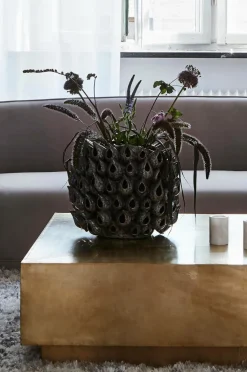 BLOWFISH Vas - Höjd 31 Cm