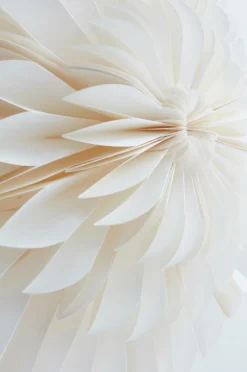 CAPELLA Julstjärna ø 44 Cm