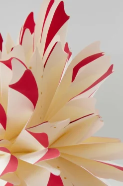 CERES Julstjärna ø 50 Cm