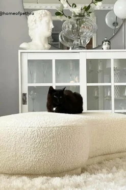 COCONINO TEDDY Sittpuff