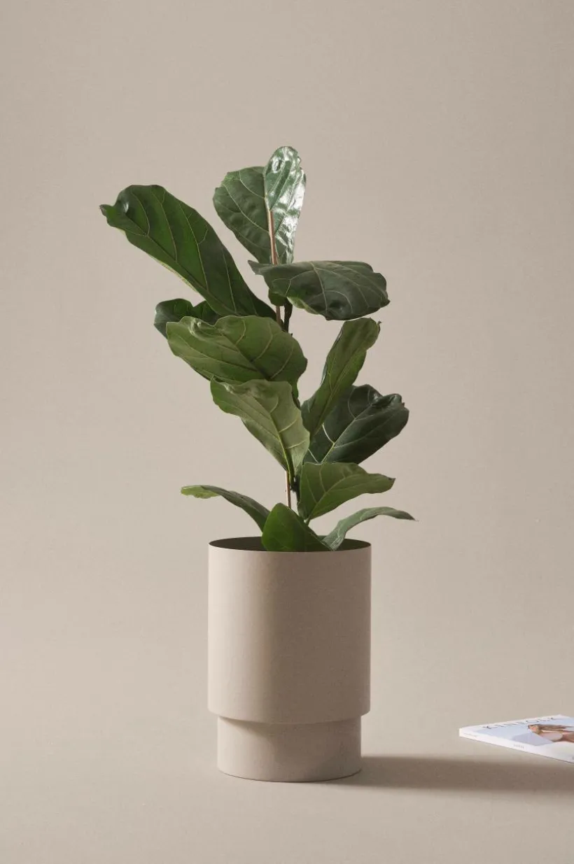 DESTINY Kruka ø 25 Cm