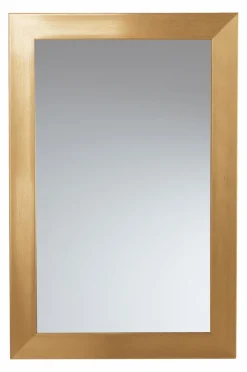 ENVY Spegel 30x50 Cm