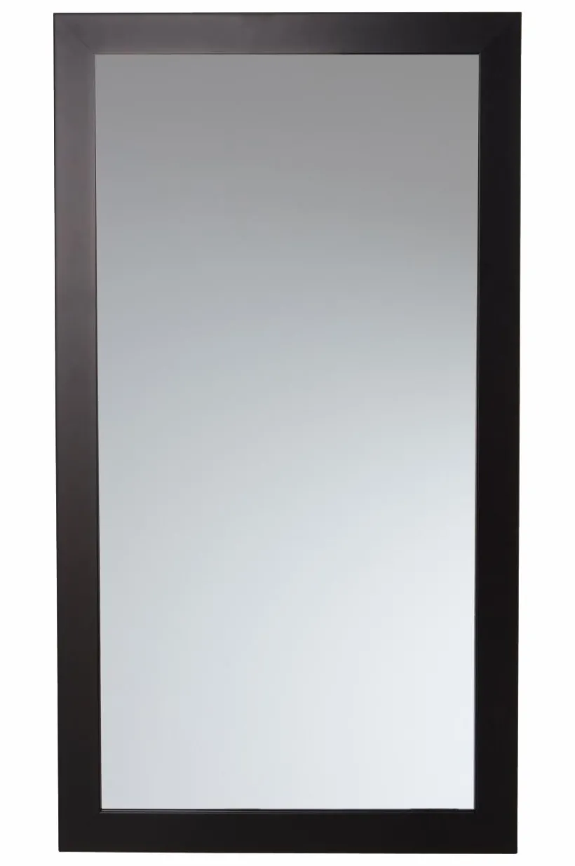 ENVY Spegel 40x80 Cm