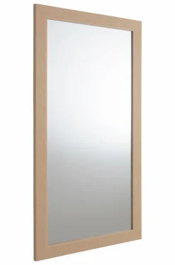 ENVY Spegel 40x80 Cm