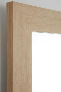 ENVY Spegel 40x80 Cm