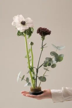 FIORE Blomsterfakir ø 6 Cm