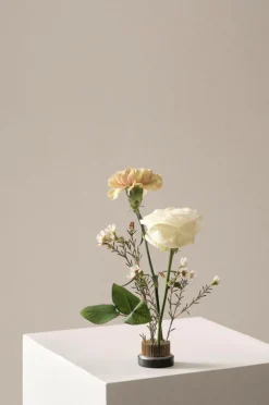 FIORE Blomsterfakir ø 4,6 Cm