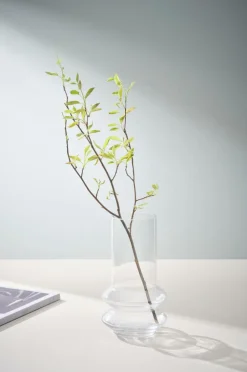 HAZE Glasvas - Höjd 24 Cm