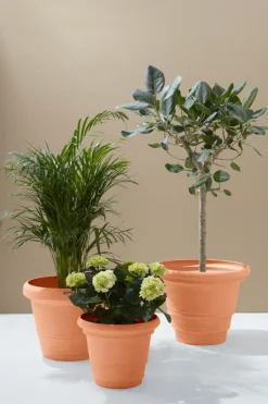 HOLLY Utomhuskruka ø 56 Cm