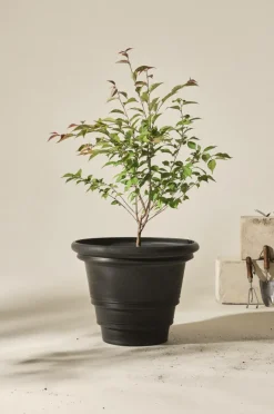 HOLLY Utomhuskruka ø 56 Cm