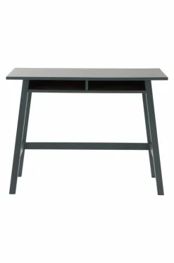 HYLLEVI Skrivbord 50x100 Cm