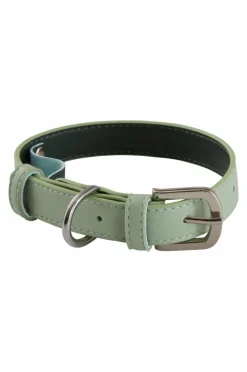 INU Hundhalsband/katthalsband