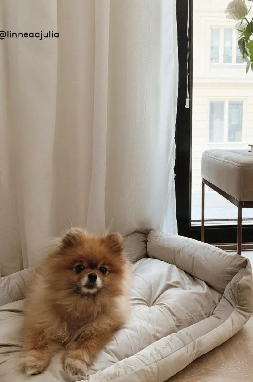 KELLY Hundbädd/kattbädd