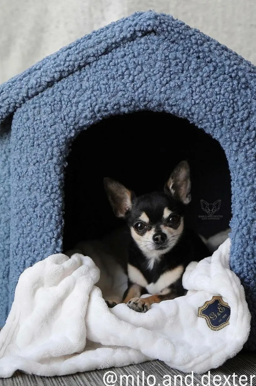 KENZA Hundbädd/kattbädd