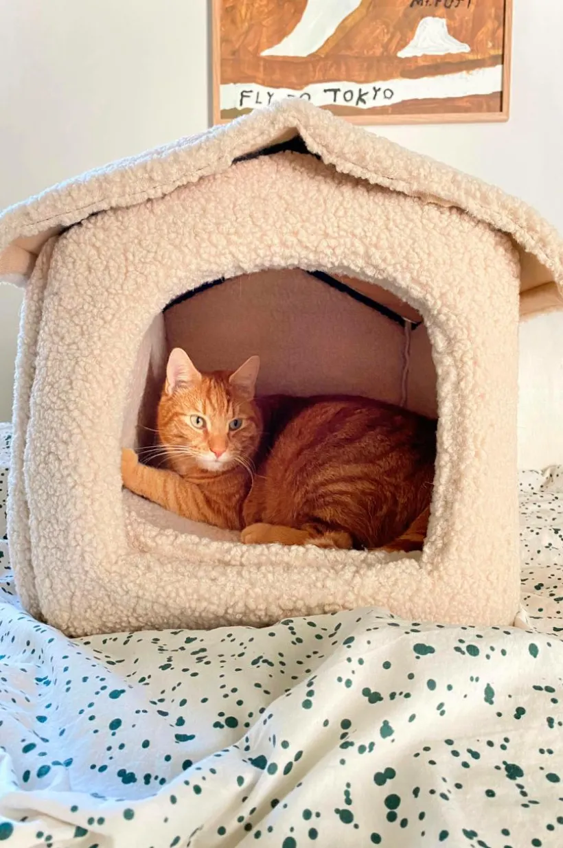 KENZA Hundbädd/kattbädd