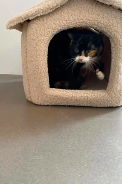 KENZA Hundbädd/kattbädd