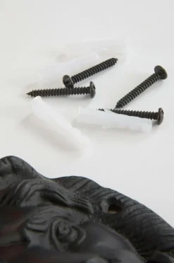 KNOCK LION Dörrkläpp