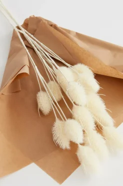 LAGURUS Gräs Bukett 3 Stjälkar