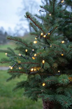 Ljusslinga Diamond Star Light 6m