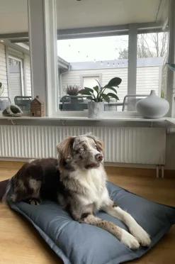 LOKI OUTDOOR Hundbädd/kattbädd 100x70 Cm