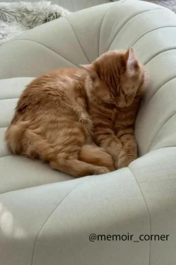 LOUIE Hundbädd/kattbädd