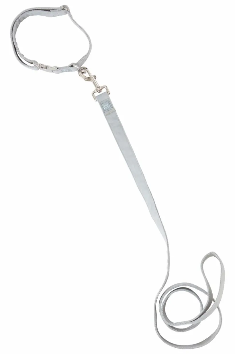 LUCA Koppel Och Hundhalsband