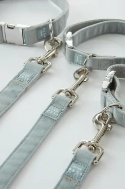 LUCA Koppel Och Hundhalsband