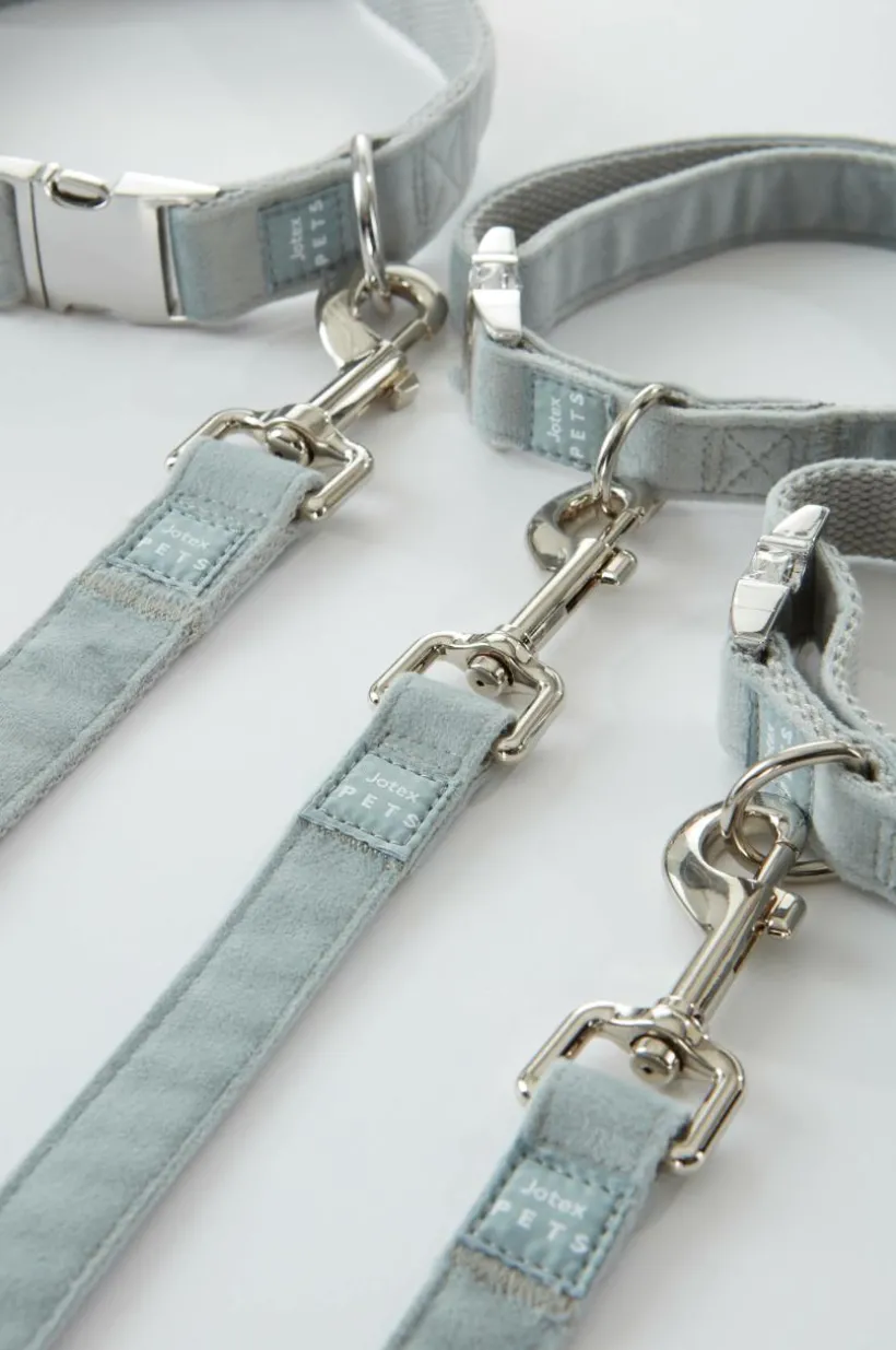 LUCA Koppel Och Hundhalsband