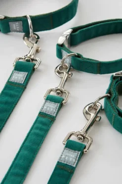 LUCA Koppel Och Hundhalsband