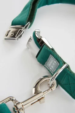 LUCA Koppel Och Hundhalsband