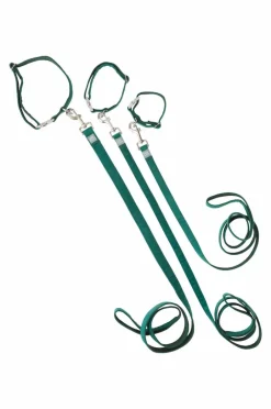 LUCA Koppel Och Hundhalsband