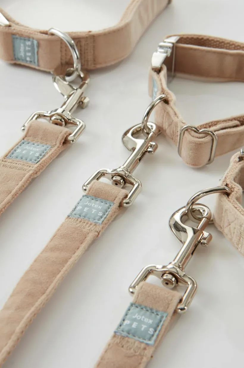 LUCA Koppel Och Hundhalsband