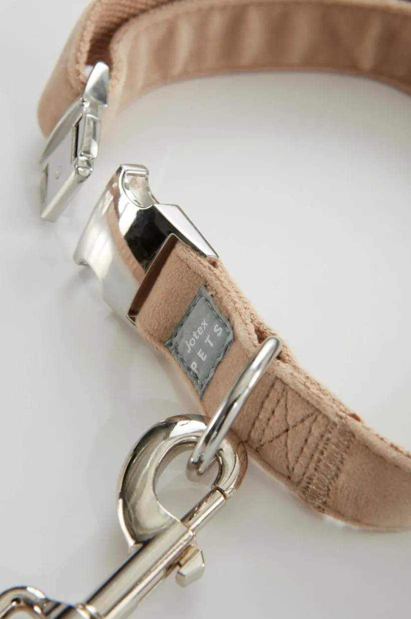 LUCA Koppel Och Hundhalsband