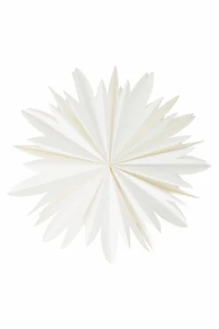 MIMOSA Julstjärna ø 44 Cm