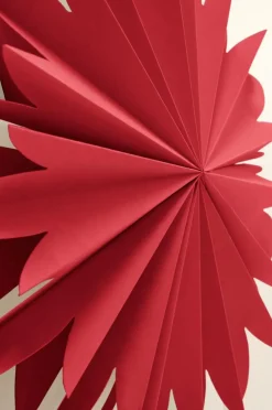 MIMOSA Julstjärna ø 44 Cm