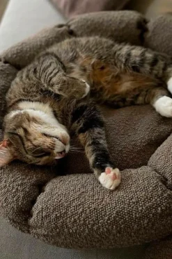 OBI Hundbädd/kattbädd