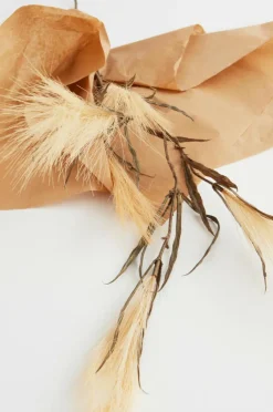 PAMPAS WIND 1 Stjälk