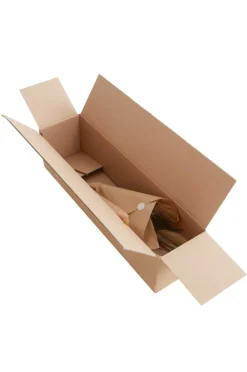 PAMPAS WIND 1 Stjälk