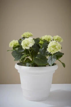 POLLY Utomhuskruka ø 38 Cm