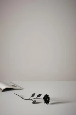 ROSENDAL Dekorationsros