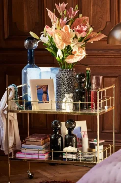 ROSKILDE Serveringsvagn