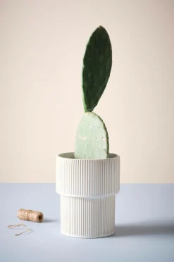 RUBY MAE Kruka ø 21 Cm