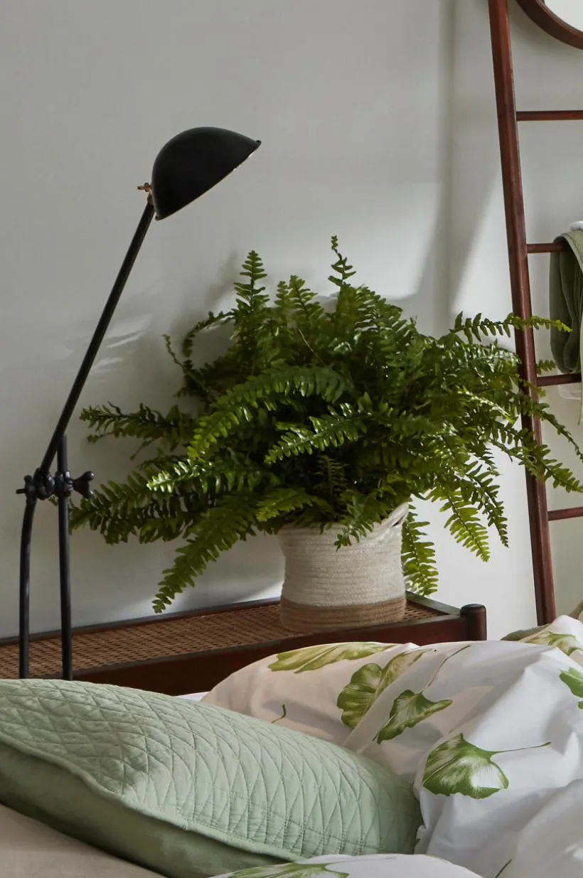 SALLE Förvaringskorg 2 Delar